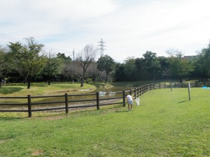 大泉さくら運動公園