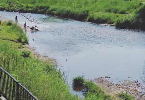 バーベキュー現場風景